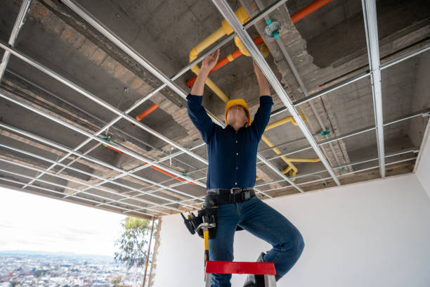 Best Sewer Line Repair  in Steele Creek, AK