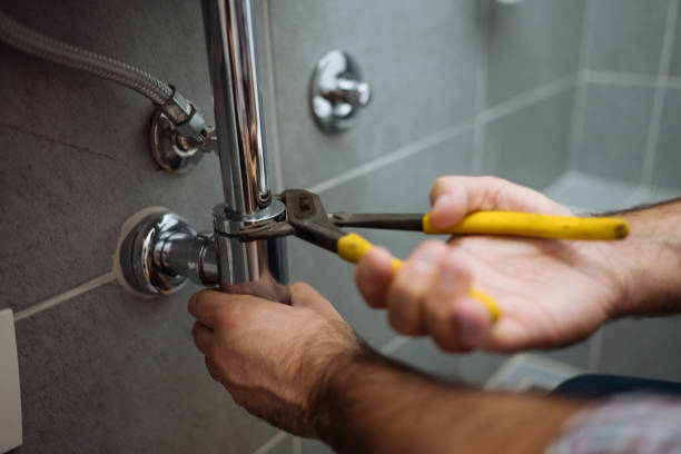 Best Leak Detection Services  in Steele Creek, AK